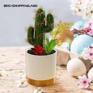 Artificial Plants with Pots Artificial Succulent Plants Fake Plants  Decorative