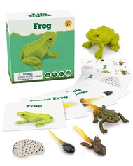 Life Cycle Kit Toy Science Montessori - Realistic Figurine Toys, Kids Animal Match Set Easter Basket