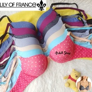 CL PUSH UP BRA WOMEN WIRE LILY OF FRANCE 34D 36D 36E 38C 38D 38E 2175295 PIN PIN