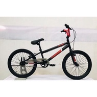 Raleigh BMX Champion (Children's Bass)