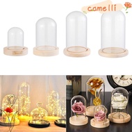 CAMELLI Glass cloche Plants Fairy Lights Terrarium Transparent Bottle Glass Vase Flower Storage box