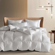 White Goose Down Winter Quilt with All Cotton Large Thickened Duvet Warm Quilt Core in Various Sizes