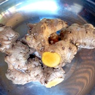 Bonglai Kuning/Bangle (Zingiber cassumunar)500gm