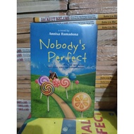Nobody's Perfect Novel We't be Perfect, but a Perfect love