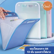 CAWL a4 Document File Storage 13 Compartments Plus 1 Tab Sticker File Folder File Organizer File A4 