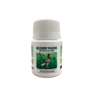 RECOVERY PIGEONS OBAT MERPATI CIDERA DAN LUKA DALAM OBAT MERPATI PATAH TULANG LUKA MEMAR LUMPUH SAYA