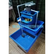 Lobster air tawar (Set Asas Ternak Lobster)