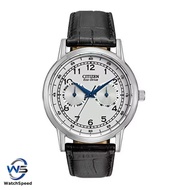 Citizen AO9000-06B Men's Eco-Drive Stainless Steel Casual Watch with Day/Date