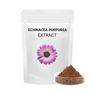 Factory Supply Echinacea Extract CAS 84696-21-9 Food Grade Echinacea Raw Material Echinacea Powder