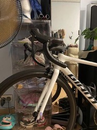 Giant tcr adv 1