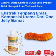 Jelly Gamat Gold Original Esktrak Continuous Pure Qnc Contents 300 ml