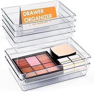 Kuber Industries (6 Piece Set) Storage Organizer (6x9 Inch) Kitchen & Makeup Organizer Tray Set | Dr