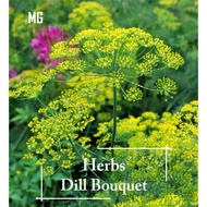 *Edible* Dill Bouquet Herbs Seeds - 100 seed ( Pot Friendly ) - Mango Garden