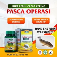 ALBUCAPS DARUSYIFA Ekstrak Ikan Gabus plus 60 kapsul Pengering Luka Pasca Operasi Kapsul Kutuk Prem