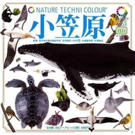 奇譚KITAN扭蛋NTC底座小笠原群島鳥羽水族館座頭鯨海豚信天翁蝙蝠