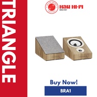 Triangle Borea BRA1 Atmos Surround Speaker