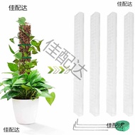 Plant Plastic Moss Rod for Plant Stakes and Peat Moss Support