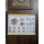 Eye Anatomy Painting (silk printed even though type 1)