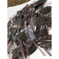 Bibit biji kaliandra 100biji