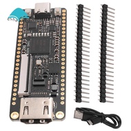 Nano 9K FPGA Development Board  GW1NR-9 RISC-V -Compatible
