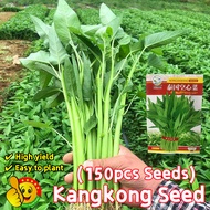 Original Kangkong Water Spinach Seed for Sale 150pcs Biji Benih Kangkung Darat Biji Benih Kangkung B