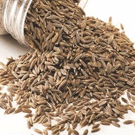 White Cumin / Cumin Seeds