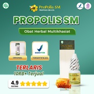Propolis SM Brazil Obat Untuk Congek Telinga Bernanah Berdengung Benjolan Di Leher Benjolan Payudara