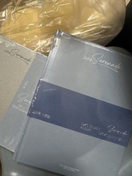 Seventeen DxS 未拆專