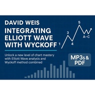 David Weis - Integrating Elliot Wave with Wyckoff ( MP3s & PDF)