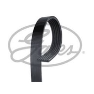 Front Engine Belt 6PK LEXUS ES300 ES330 RX300 TOYOTA ALPHARD CAMRY ESTIMA HARRIER 1MZ 3.0 3MZ 3.3