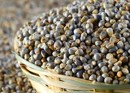 Savetron_Organic_ Pearl Millet Kambu Sekoi _Gluten Free_1 KG