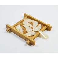 Guzheng Nails Ivory White Shell Polymer (8 Pieces Package/Box Not Included)) Double Curved Guzheng N