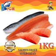ISI SALMON SALMON FILLET FISH  TCH FROZEN FOOD FRESH FROZEN SEAFOOD WHOLESALE SUPPLIER FISH IKAN STE