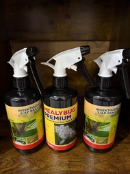 mealybug obat pembasmi hama tanaman kutu putih ulat bulu jamur belalang bekicot semut tanaman ampuh 