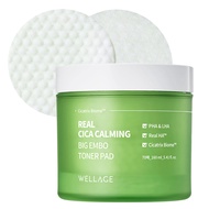 WELLAGE Real Cica Calming Big Embo Toner Pad for Pore Tightening and Exfoliating - PHA, LHA, Madecas