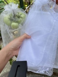 50個 19*28cm 白色網紗束口袋  透氣防蟲袋保護袋瓜果防鳥防鼠防蟲防蜂 有機種植果樹蕃茄瓜提子 禮物包裝袋婚禮包裝袋有機種植