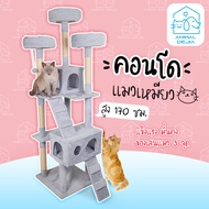 คอนโดแมว บ้านแมว Bongo Cat Tree ที่นอนแมว ของเล่นแมว สูง170ซม. ฐานกว้าง ไม่มีล้ม เสาแข็งแรง เสาลับเล็บทุกต้น