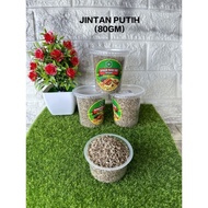 White Cumin /Cumin Seeds (80gm)