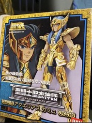 聖鬥士星矢 水瓶座