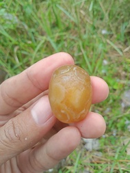 ✅ Batu Cimpago Sulaiman Daud Ujung Tanjung ( Bahan Batu Akik Natural - Pola Kasar )