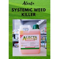 ALECTA Systemic  Weed Killer GLYPHOSATE Herbicide 480 SL 1 Gallon