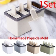 Homemade Popsicle Mold