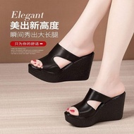 Xuồng quai khoét xịn sò MS01