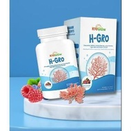 KidGlow H-GRO 营养增高钙 H Grow HGrow HGro Kid Glow 30's Chewable