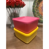 SO FRESH TUPPERWARE CONTAINER