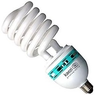 Light. Light KAEZI 85 Day Studio Watt CFL Bulb 5500K
