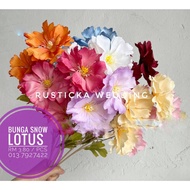 Bunga Snow Lotus Flower Snow Lotus
