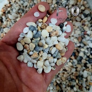 Round Stream 1kg - Stream Pebbles Spread The Aquarium Floor Very Brighter