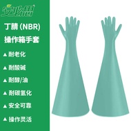 Anbistin Nitrile Rubber NBR Vacuum Box Pharmaceutical Box Isolation Box Glove Dry Box DRY BOX Gloves