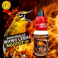 DOSIS TINGGI BOOSTER PLECI VITAMIN PENGGACOR PLECI DOPING PLECI RAJA GOYANG